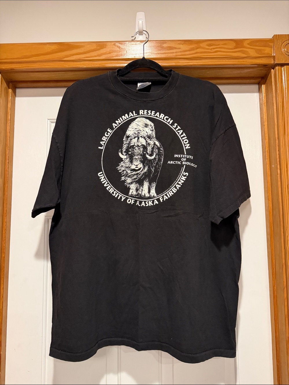 Hanes Black Short-Sleeve Tee with White University Graphic